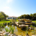 terra raiz retiro literario 2026