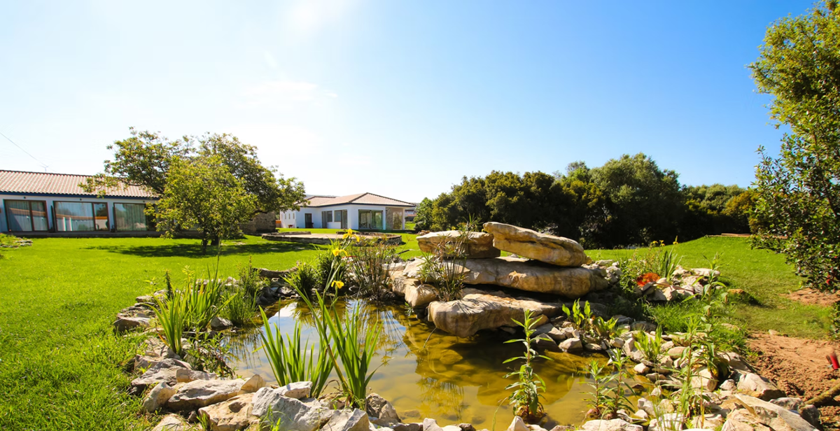 terra raiz retiro literario 2026